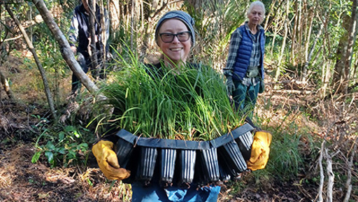 Ōtanerua Reserve Eco-Neighbourhood preview image