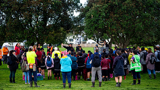 Kohuora Park Schools Nature Day preview image