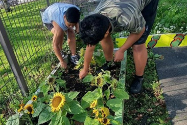 Green Thumb Crew: Young Gardeners of Tupu preview image