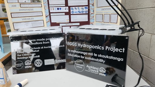 From Water Testing to Award-Winning Science preview image