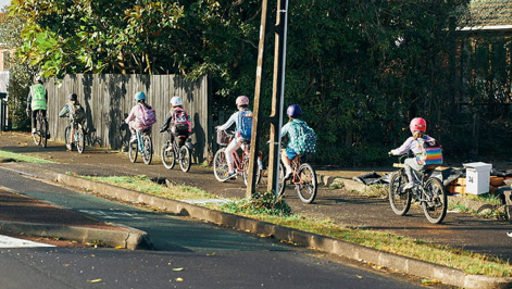 The Bike Train – Pedaling Toward a Greener Future preview image