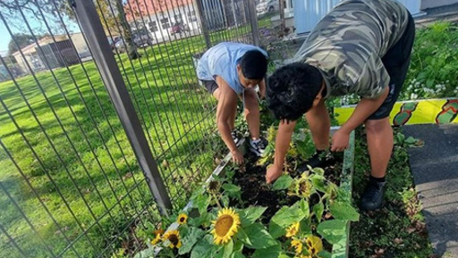 Green Thumb Crew: Young Gardeners of Tupu preview image