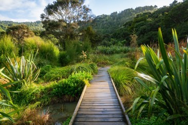 Solar panels and batteries provide the missing link for Te Henga / Bethells Beach preview image