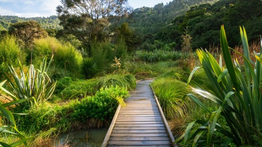 Solar panels and batteries provide the missing link for Te Henga / Bethells Beach preview image