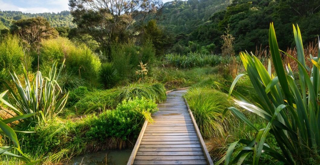 Solar panels and batteries provide the missing link for Te Henga / Bethells Beach image