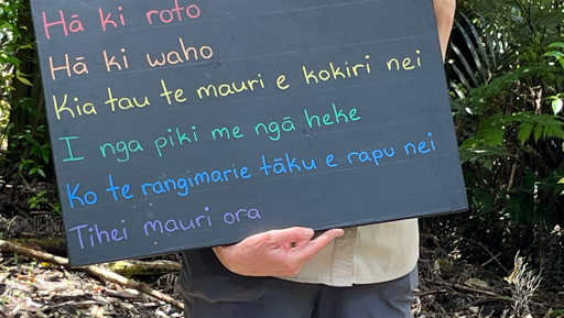 Balmoral Intermediates Arataki Adventure preview image