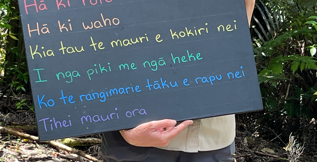 Balmoral Intermediates Arataki Adventure image