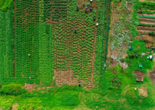 Papatuanuku Kokiri Marae preview image