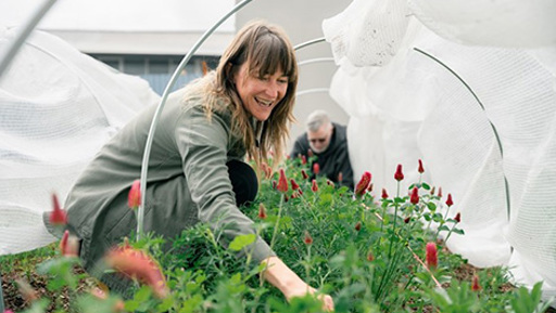 Awhi Mai Te Atatū: Growing as a community preview image