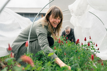 Awhi Mai Te Atatū: Growing as a community preview image