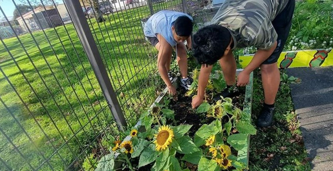 Green Thumb Crew: Young Gardeners of Tupu image