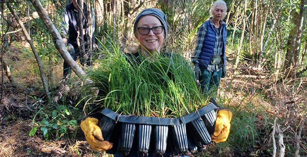 Ōtanerua Reserve Eco-Neighbourhood image