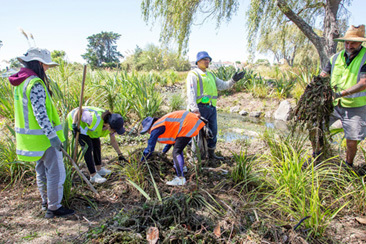 Creating a climate-ready community in Puketāpapa preview image