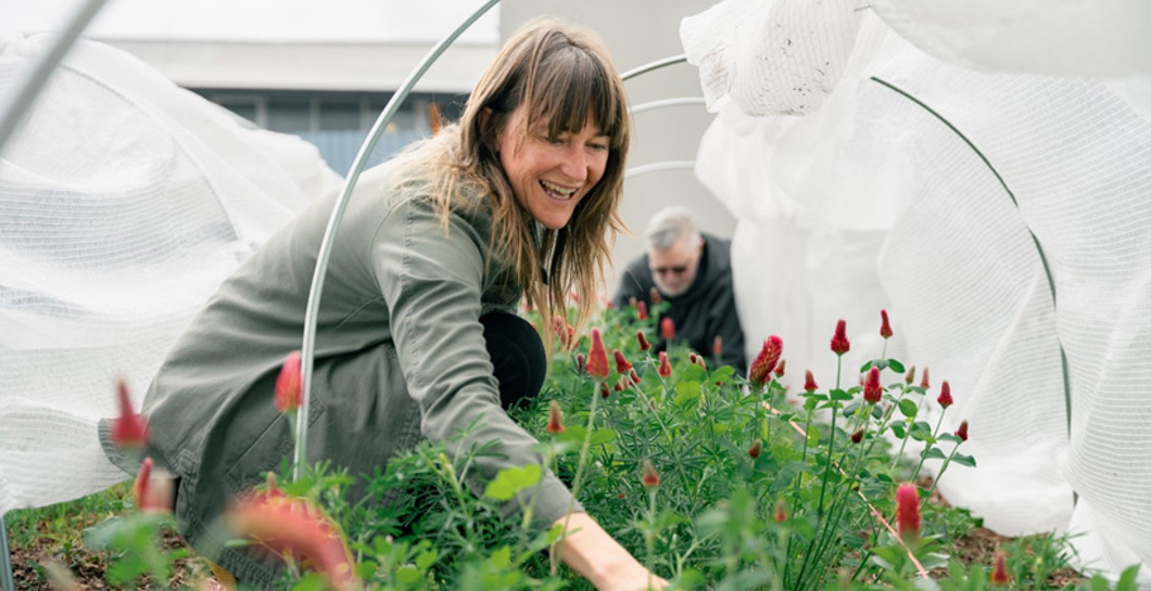 Awhi Mai Te Atatū: Growing as a community image