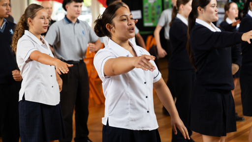 Transformative Enviroschools Energy flows at Ōwairaka preview image