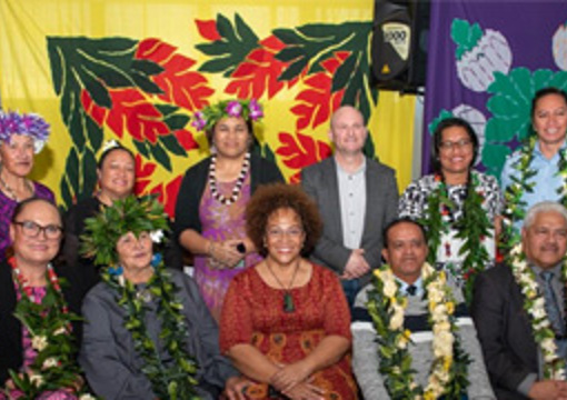 Cook Islands Development Agency NZ preview image