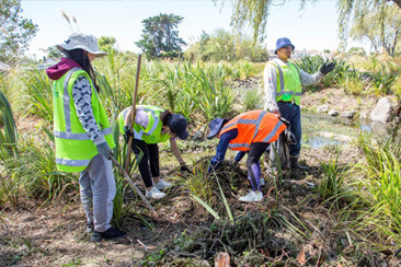 Creating a Climate-Ready Community in Puketāpapa preview image