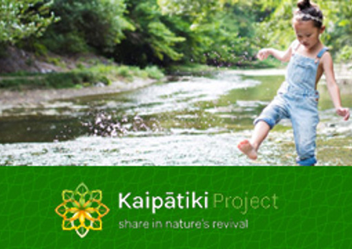 Kaipatiki Project preview image