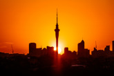 Auckland Climate Grant preview image