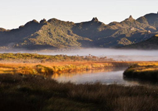 Great Barrier Environmental Trust preview image