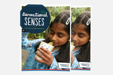 Sensational senses preview image