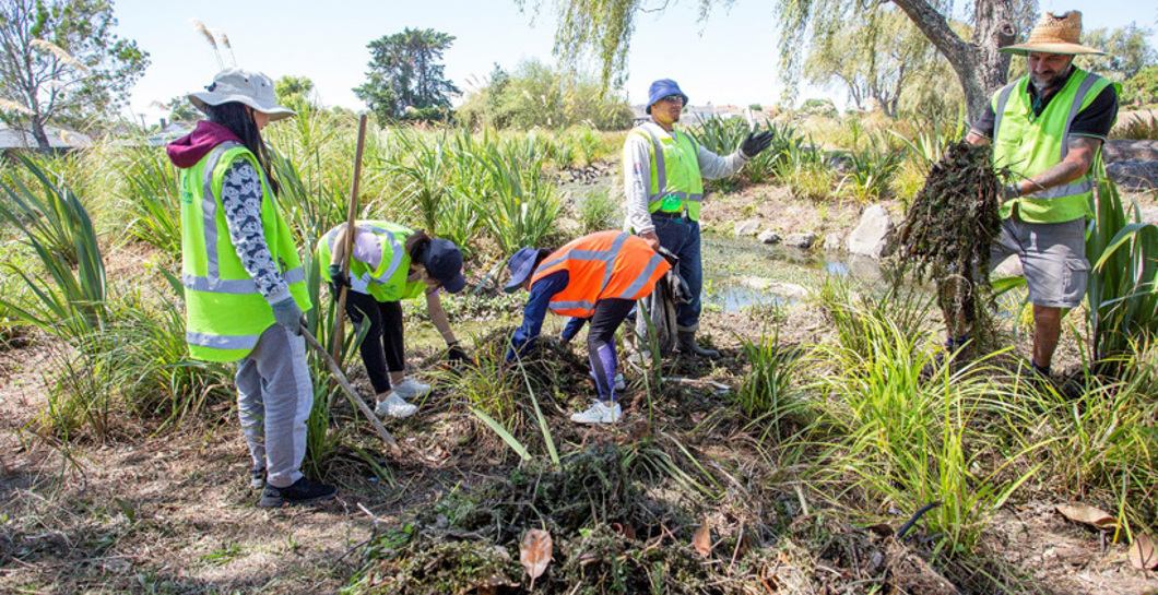 Creating a climate-ready community in Puketāpapa image