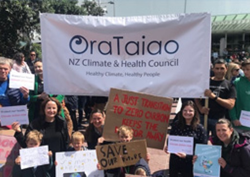 OraTaiao : New Zealand Climate & Health Council preview image